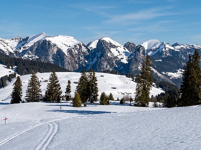 DCLDLUX8-20260226-1002584