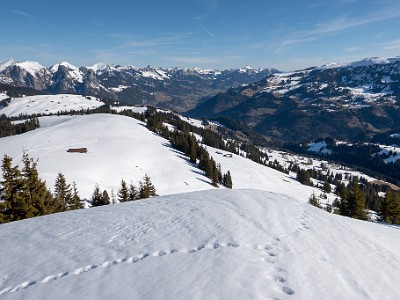 DCLDLUX8-20260226-1002585