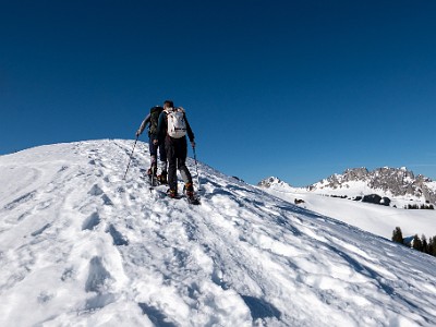 DCLDLUX8-20260226-1002587