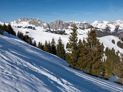 DCLDLUX8-20260226-1002589