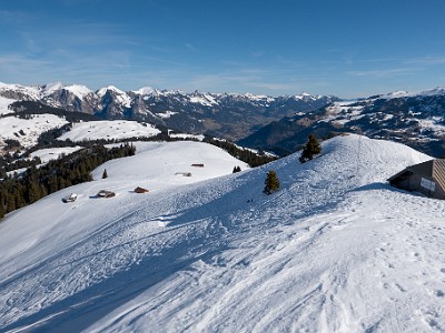 DCLDLUX8-20260226-1002590