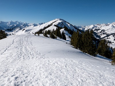 DCLDLUX8-20260226-1002591