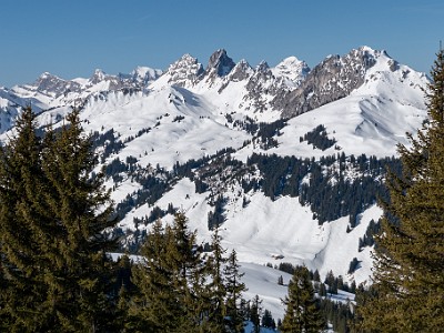 DCLDLUX8-20260226-1002593