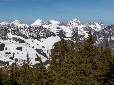 DCLDLUX8-20260226-1002594