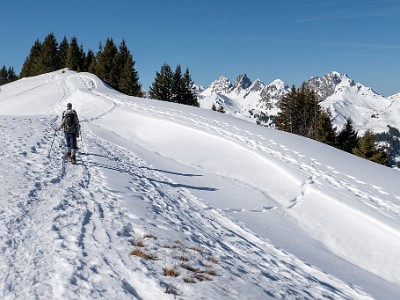 DCLDLUX8-20260226-1002596