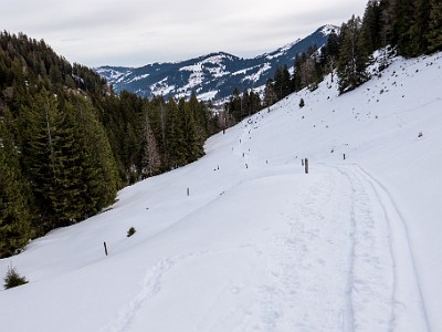 DCS7-20260117-1002465