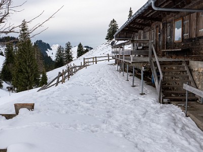 DCS7-20260117-1002469