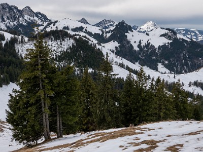 DCS7-20260117-1002477