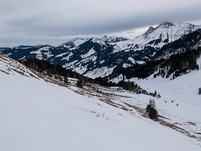 DCS7-20260117-1002480