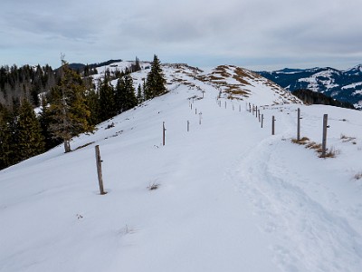 DCS7-20260117-1002481