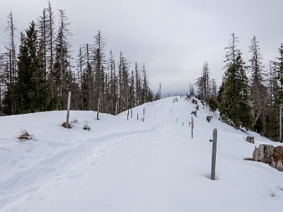 DCS7-20260117-1002483