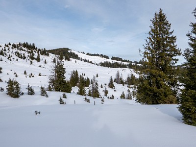 DCS7-20260117-1002486