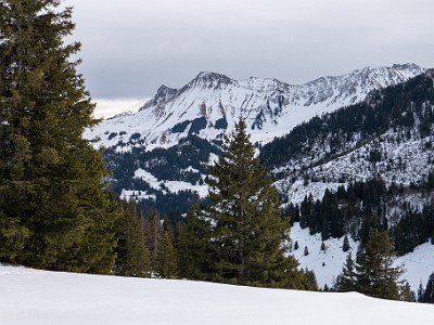 DCS7-20260117-1002487