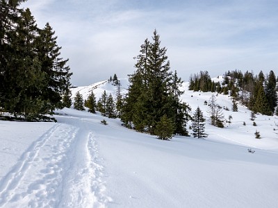 DCS7-20260117-1002488