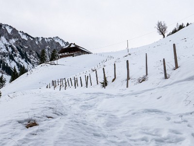 DCS7-20260117-1002490