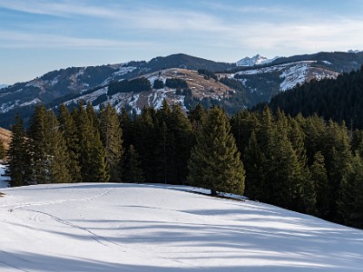 DCLDLUX8-20260120-1002496