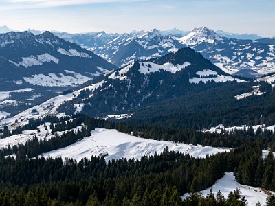 DCLDLUX8-20260120-1002502