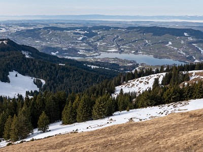 DCLDLUX8-20260120-1002503