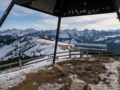 DCLDLUX8-20260120-1002509