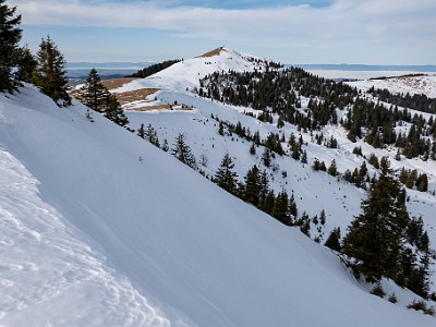 DCLDLUX8-20260120-1002514