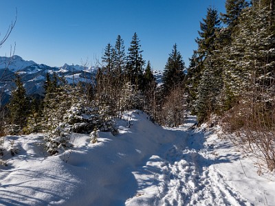 DCLDLUX8-20260104-1002385