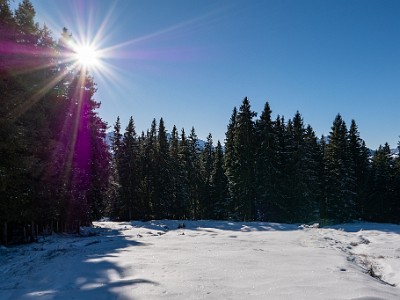 DCLDLUX8-20260104-1002390