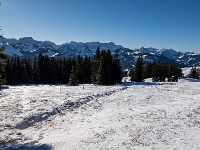 DCLDLUX8-20260104-1002391