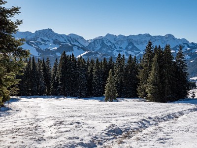 DCLDLUX8-20260104-1002392