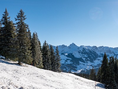 DCLDLUX8-20260104-1002393