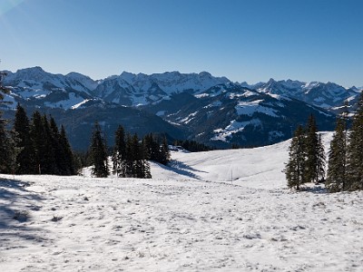 DCLDLUX8-20260104-1002398