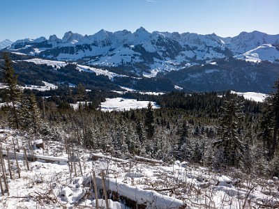 DCLDLUX8-20260104-1002399