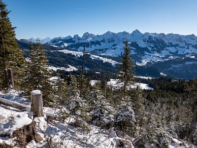 DCLDLUX8-20260104-1002400