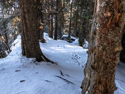 DCLDLUX8-20260104-1002401