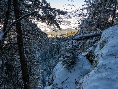 DCLDLUX8-20260104-1002404