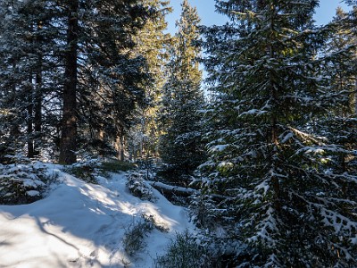 DCLDLUX8-20260104-1002405