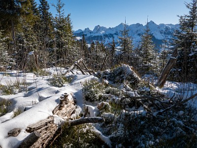 DCLDLUX8-20260104-1002412