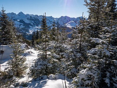 DCLDLUX8-20260104-1002415