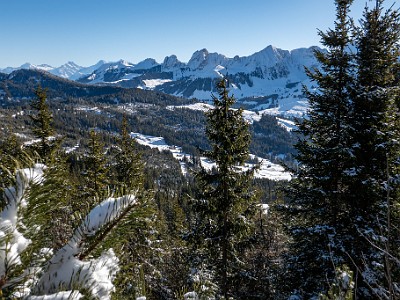 DCLDLUX8-20260104-1002419