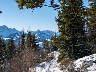 DCLDLUX8-20260104-1002422