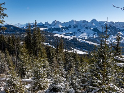 DCLDLUX8-20260104-1002425