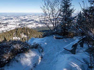 DCLDLUX8-20260104-1002428