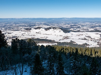 DCLDLUX8-20260104-1002431