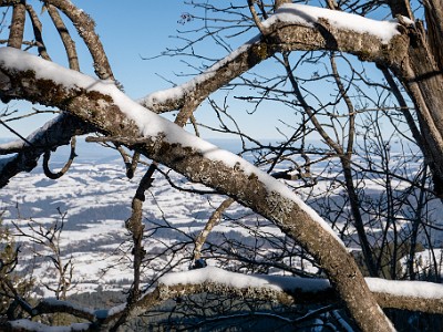 DCLDLUX8-20260104-1002432