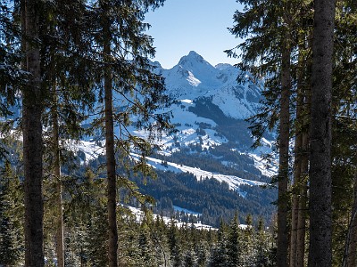 DCLDLUX8-20260104-1002433