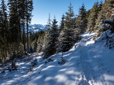 DCLDLUX8-20260104-1002435