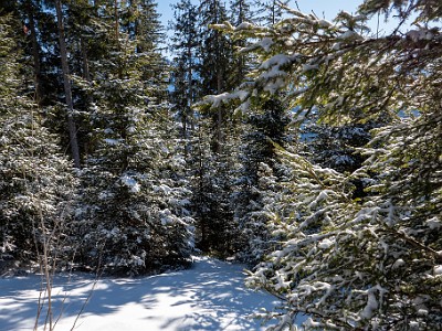 DCLDLUX8-20260104-1002437