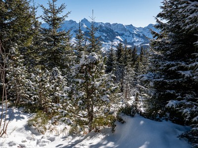 DCLDLUX8-20260104-1002442