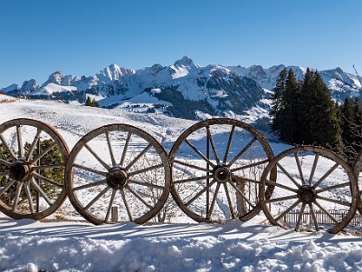 DCLDLUX8-20260104-1002449