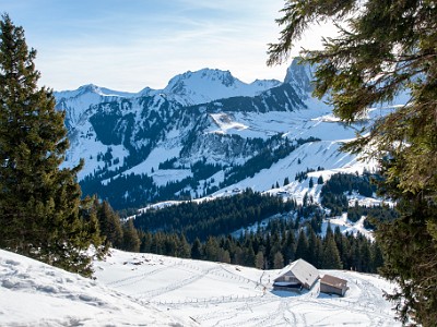 Selibüel - Obere Gurnigel (2026-01-16)