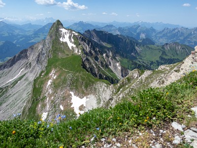 DCCG1X-20260621-2432